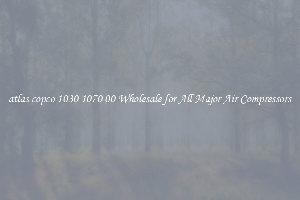 atlas copco 1030 1070 00 Wholesale for All Major Air Compressors