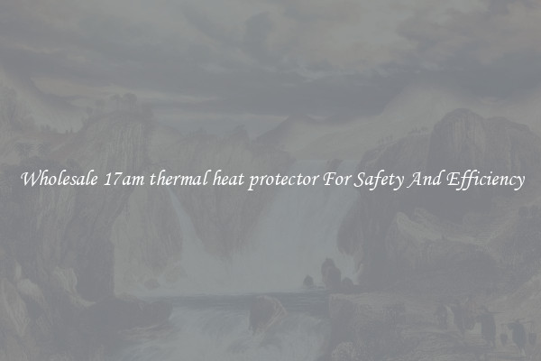 Wholesale 17am thermal heat protector For Safety And Efficiency
