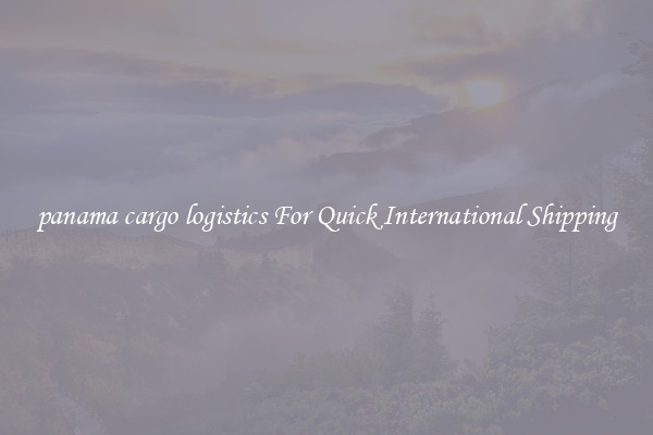 panama cargo logistics For Quick International Shipping