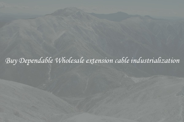 Buy Dependable Wholesale extension cable industrialization