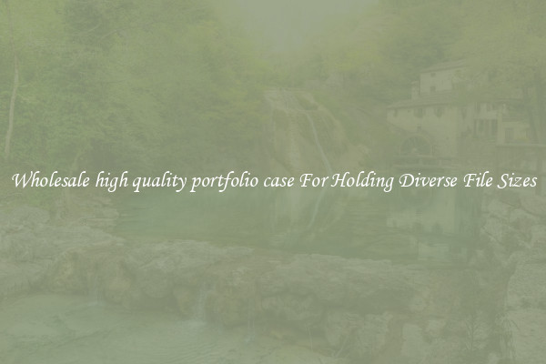 Wholesale high quality portfolio case For Holding Diverse File Sizes