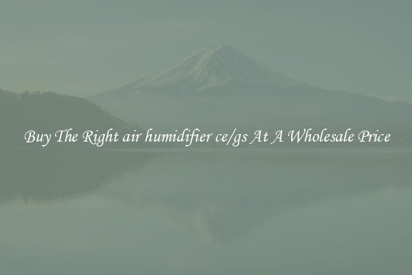 Buy The Right air humidifier ce/gs At A Wholesale Price