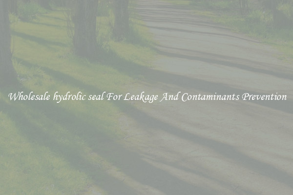 Wholesale hydrolic seal For Leakage And Contaminants Prevention
