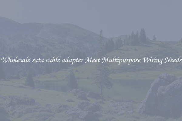 Wholesale sata cable adapter Meet Multipurpose Wiring Needs