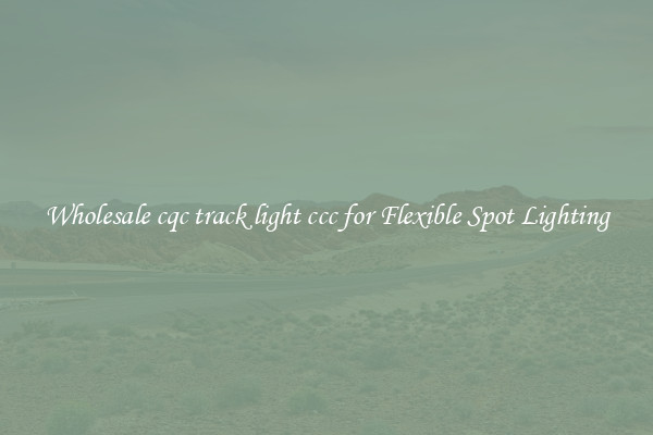 Wholesale cqc track light ccc for Flexible Spot Lighting