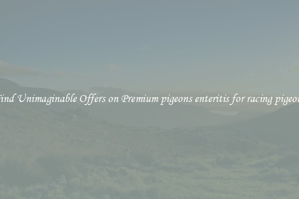 Find Unimaginable Offers on Premium pigeons enteritis for racing pigeons