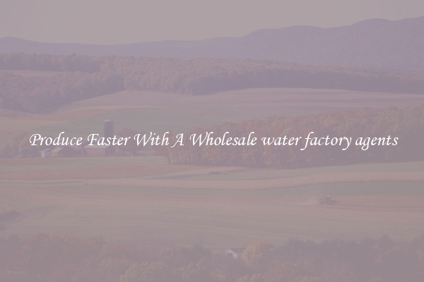 Produce Faster With A Wholesale water factory agents