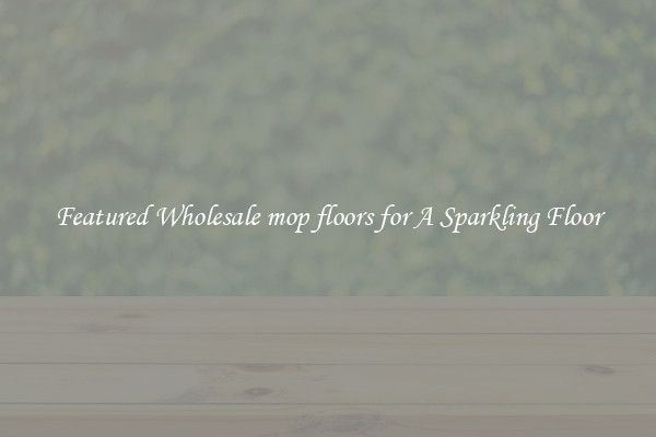 Featured Wholesale mop floors for A Sparkling Floor