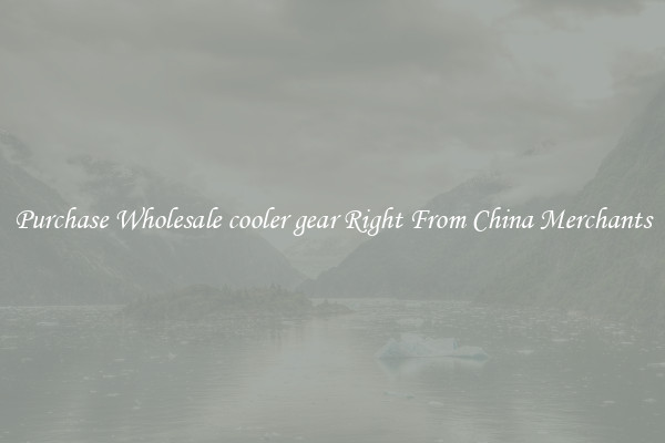 Purchase Wholesale cooler gear Right From China Merchants