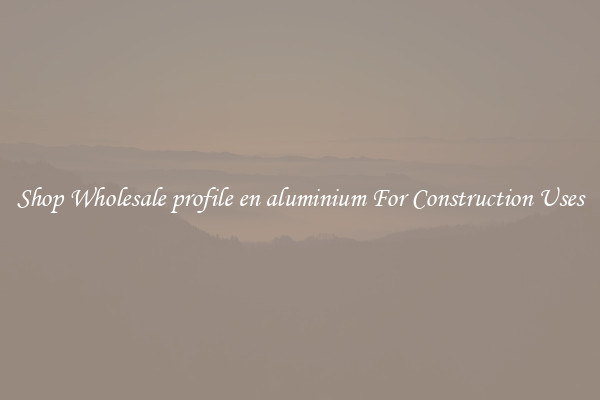 Shop Wholesale profile en aluminium For Construction Uses