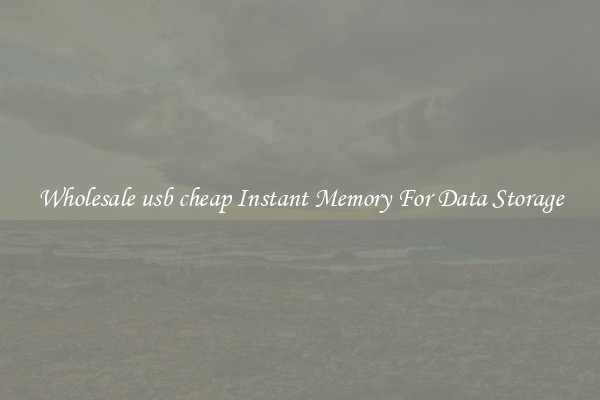 Wholesale usb cheap Instant Memory For Data Storage