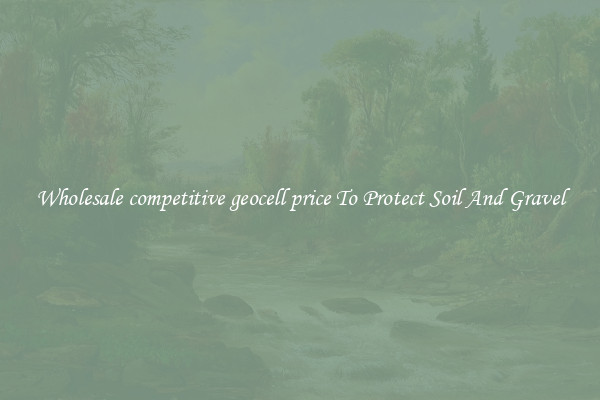 Wholesale competitive geocell price To Protect Soil And Gravel