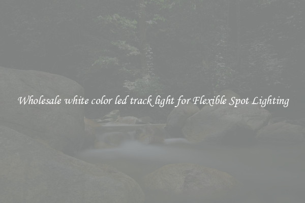 Wholesale white color led track light for Flexible Spot Lighting