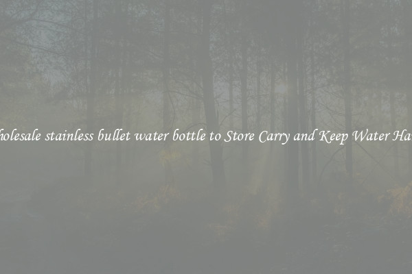 Wholesale stainless bullet water bottle to Store Carry and Keep Water Handy
