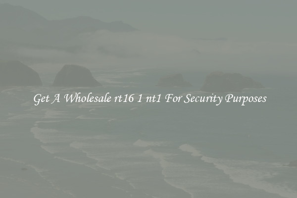 Get A Wholesale rt16 1 nt1 For Security Purposes