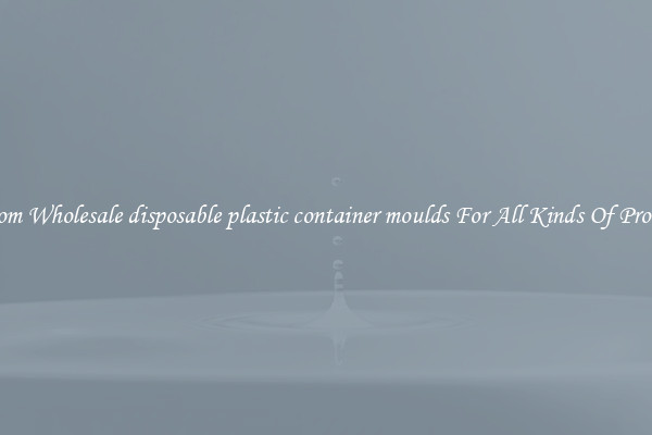 Custom Wholesale disposable plastic container moulds For All Kinds Of Products