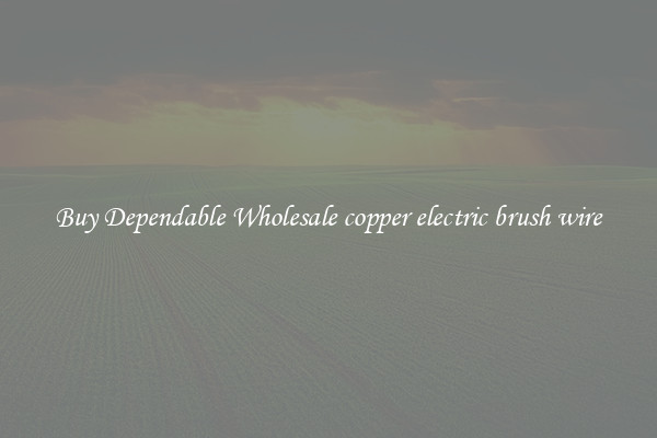 Buy Dependable Wholesale copper electric brush wire