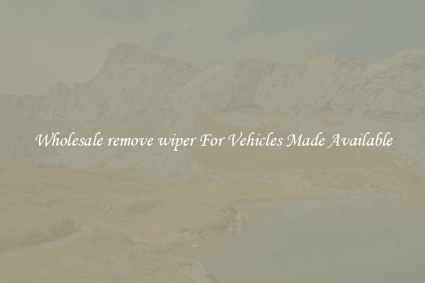 Wholesale remove wiper For Vehicles Made Available