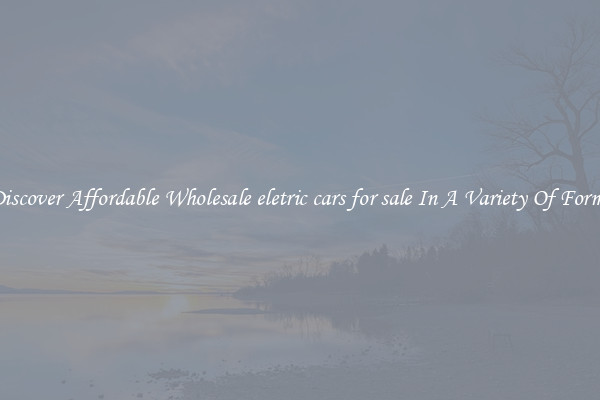 Discover Affordable Wholesale eletric cars for sale In A Variety Of Forms