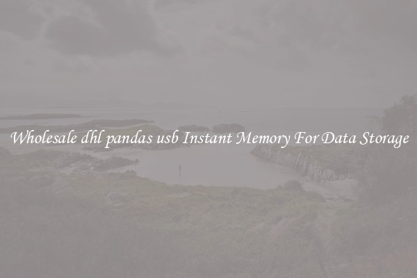 Wholesale dhl pandas usb Instant Memory For Data Storage