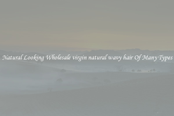 Natural Looking Wholesale virgin natural wavy hair Of Many Types