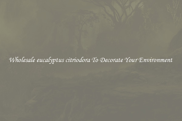 Wholesale eucalyptus citriodora To Decorate Your Environment 